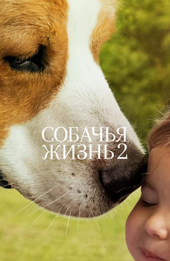 Фильм Собачья жизнь 2 (2019) смотреть онлайн